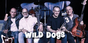 Wild Dogs